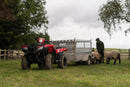 Honda TRX520 FM6 - Foreman S 2-4wd (Independent Rear Suspension) & Power Steering ATV