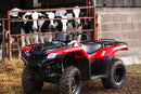 Honda  TRX420 FM1 - Fourtrax S 2-4wd