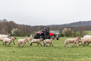 Honda Pioneer 520 - 2 Seater UTV