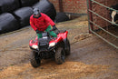 Honda TRX420 FM2 - S PS 2-4wd