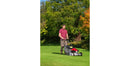 Honda HRD536QX 21" Rear Roller Lawnmower