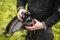 Honda UMR450 Backpack Brushcutter