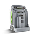 EGO CH5500E Rapid Battery Charger