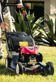 CFMOTO - ZFORCE 950 Sport 4 EPS